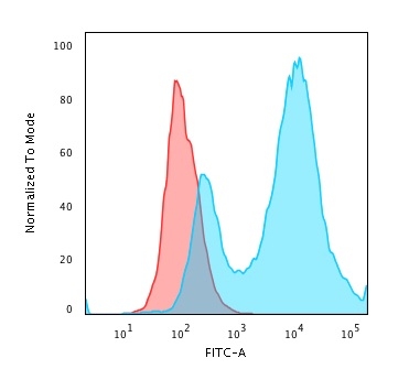 HSP27 Antibody (HSPB1/774) - IHC-Prediluted Flow Cytometry: HSP27 Antibody (HSPB1/774) - IHC-Prediluted [NBP2-48186] -