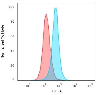 Calponin 1 Antibody (SPM169) - IHC-Prediluted Flow Cytometry: Calponin 1 Antibody (SPM169) - IHC-Prediluted [NBP2-48204] -