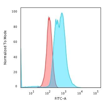 Calponin 1 Antibody (CNN1/832 + CALP) - IHC-Prediluted Flow Cytometry: Calponin 1 Antibody (CNN1/832 + CALP) - IHC-Prediluted [NBP2-48206] -