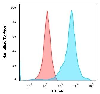 NF-H Antibody (RT-97 + NR-4) - IHC-Prediluted Flow Cytometry: NF-H Antibody (RT-97 + NR-4) - IHC-Prediluted [NBP2-48253] -