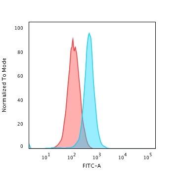 Moesin Antibody (MSN/492) - IHC-Prediluted Flow Cytometry: Moesin Antibody (MSN/492) - IHC-Prediluted [NBP2-48305] -