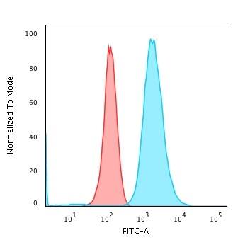 Moesin Antibody (MSN/493) - IHC-Prediluted Flow Cytometry: Moesin Antibody (MSN/493) - IHC-Prediluted [NBP2-48306] -
