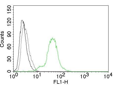 ER beta/NR3A2 Antibody (ESR2/686) - IHC-Prediluted Flow Cytometry: ER beta/NR3A2 Antibody (ESR2/686) - IHC-Prediluted [NBP2-48309] -