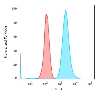Fascin Antibody (FSCN1/417) - IHC-Prediluted Flow Cytometry: Fascin Antibody (FSCN1/417) - IHC-Prediluted [NBP2-48311] -
