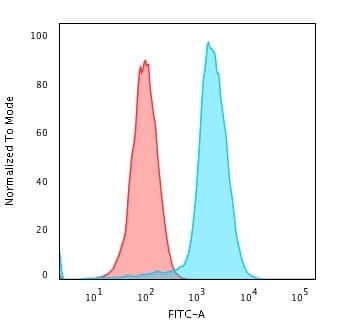 Fascin Antibody (SPM133) - IHC-Prediluted Flow Cytometry: Fascin Antibody (SPM133) - IHC-Prediluted [NBP2-48312] -