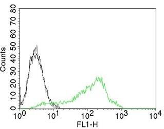 Nucleolin Antibody (NCL/902) - IHC-Prediluted Flow Cytometry: Nucleolin Antibody (NCL/902) - IHC-Prediluted [NBP2-48317] -