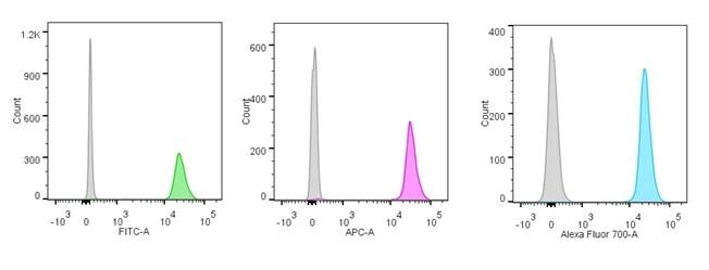 Nucleolin Antibody (NCL/902) - IHC-Prediluted Flow Cytometry: Nucleolin Antibody (NCL/902) - IHC-Prediluted [NBP2-48317] -