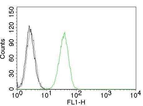 CD31/PECAM-1 Antibody (C31.10) - IHC-Prediluted Flow Cytometry: CD31/PECAM-1 Antibody (C31.10) - IHC-Prediluted [NBP2-48330] -