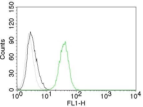 CD31/PECAM-1 Antibody (C31.10) - IHC-Prediluted Flow Cytometry: CD31/PECAM-1 Antibody (C31.10) - IHC-Prediluted [NBP2-48330] -