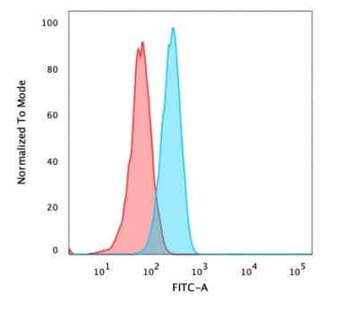 beta-Catenin Antibody - IHC-Prediluted Flow Cytometry: beta-Catenin Antibody - IHC-Prediluted [NBP2-48367] -
