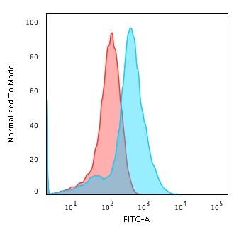 Glypican 3 Antibody (1G12) - IHC-Prediluted Flow Cytometry: Glypican 3 Antibody (1G12) - IHC-Prediluted [NBP2-48396] -