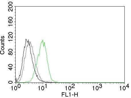 p27/Kip1 Antibody (DCS-72.F6) - IHC-Prediluted Flow Cytometry: p27/Kip1 Antibody (DCS-72.F6) - IHC-Prediluted [NBP2-48400] -