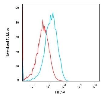 Cadherin-16 Antibody (CDH16/1071) - IHC-Prediluted Flow Cytometry: Cadherin-16 Antibody (CDH16/1071) - IHC-Prediluted [NBP2-48433] -