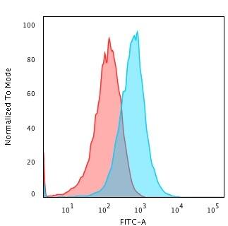 TNF-alpha Antibody (TNFA/1172) - IHC-Prediluted Flow Cytometry: TNF-alpha Antibody (TNFA/1172) - IHC-Prediluted [NBP2-48470] -