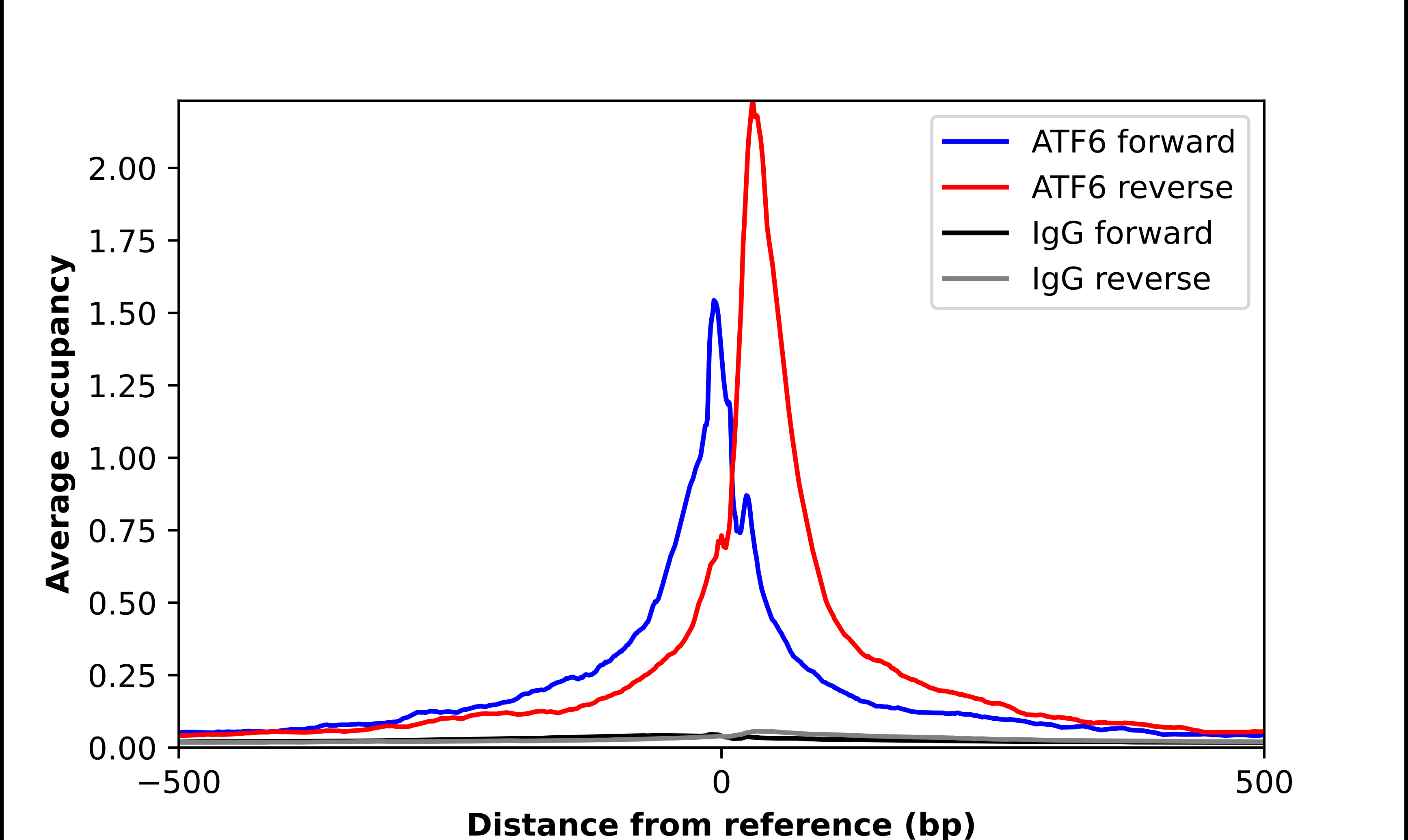ATF6 Antibody - BSA Free Chromatin Immunoprecipitation ChIP: ATF6 Antibody - BSA Free