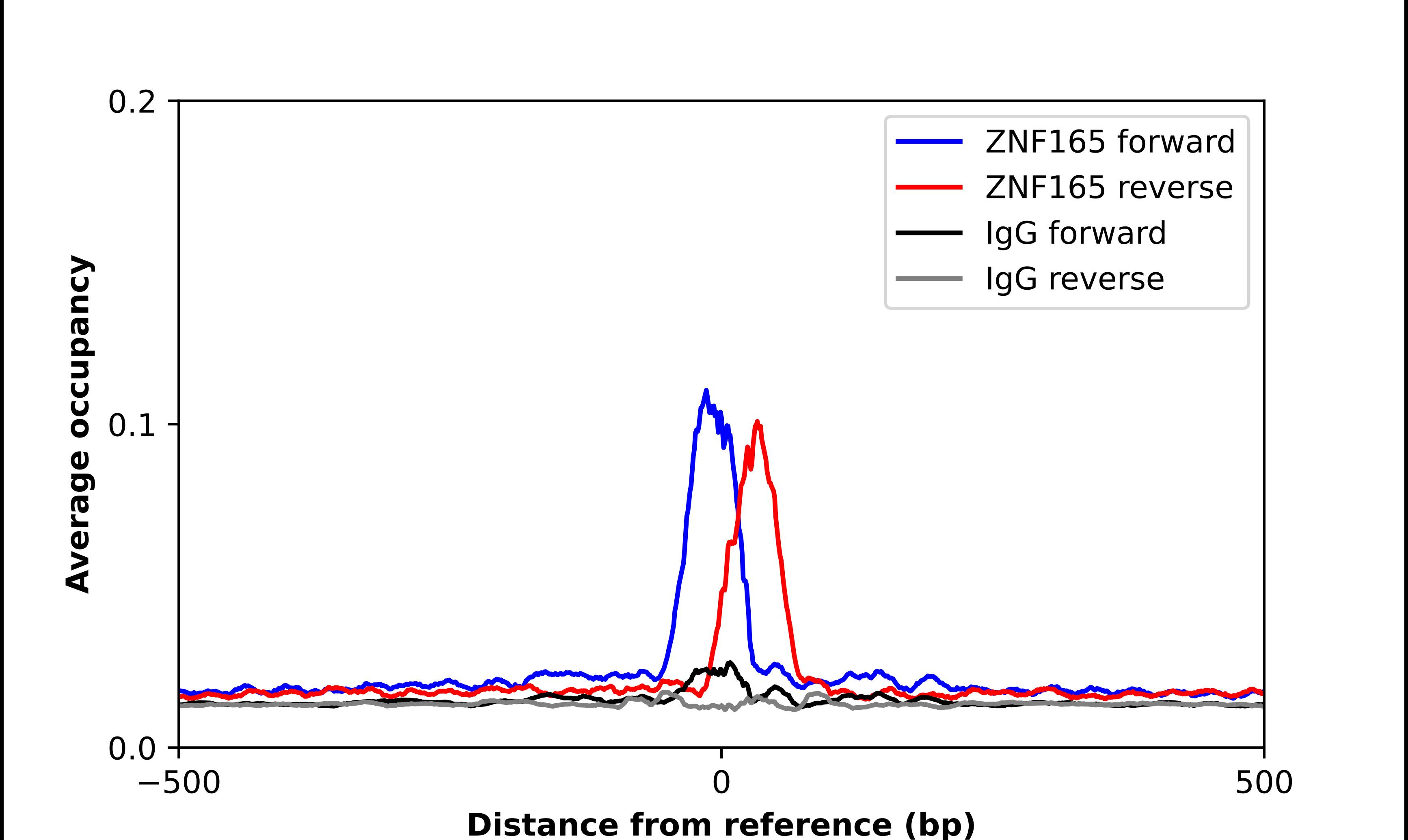 ZNF165 Antibody - BSA Free Chromatin Immunoprecipitation ChIP: ZNF165 Antibody - BSA Free
