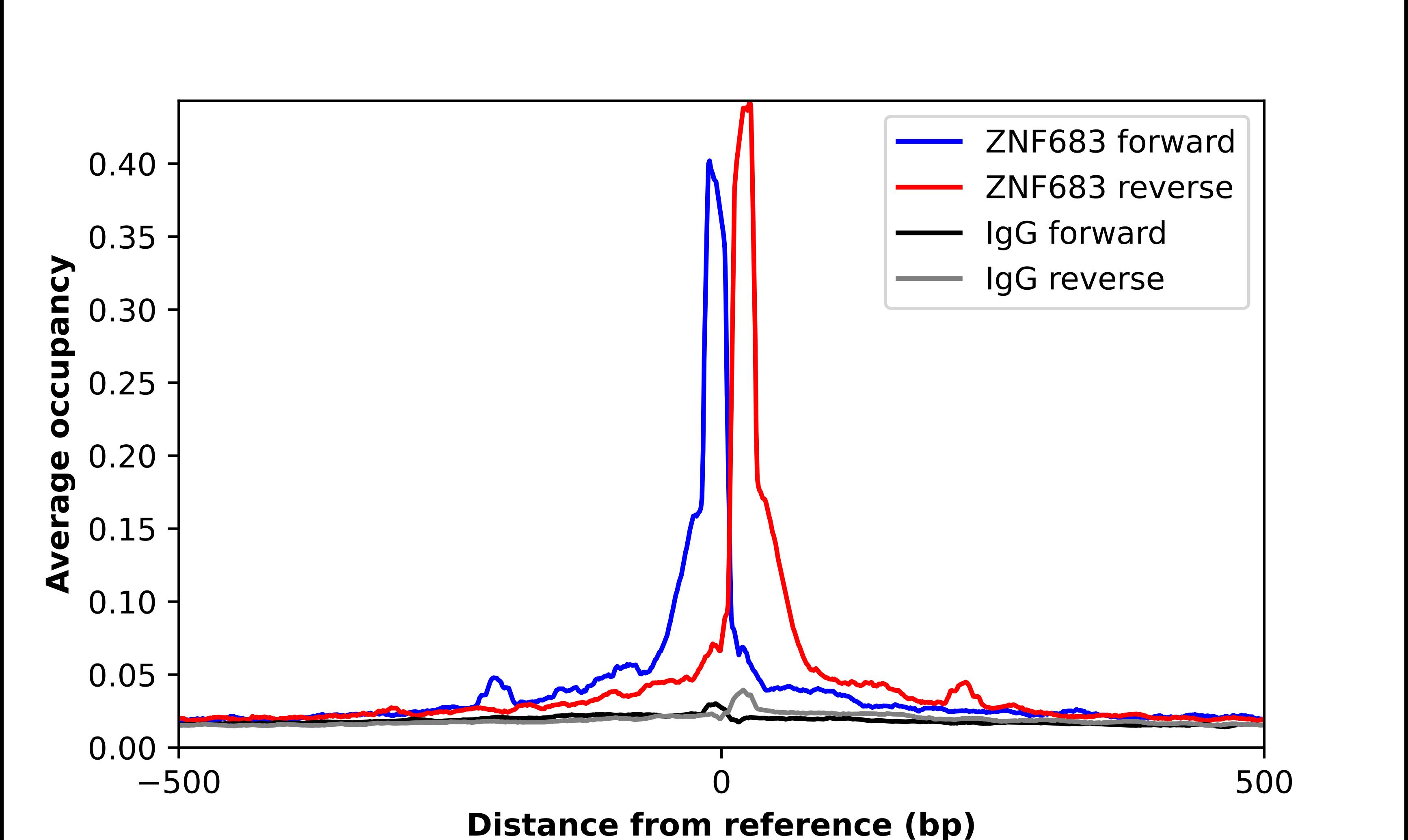 ZNF683 Antibody - BSA Free Chromatin Immunoprecipitation ChIP: ZNF683 Antibody - BSA Free