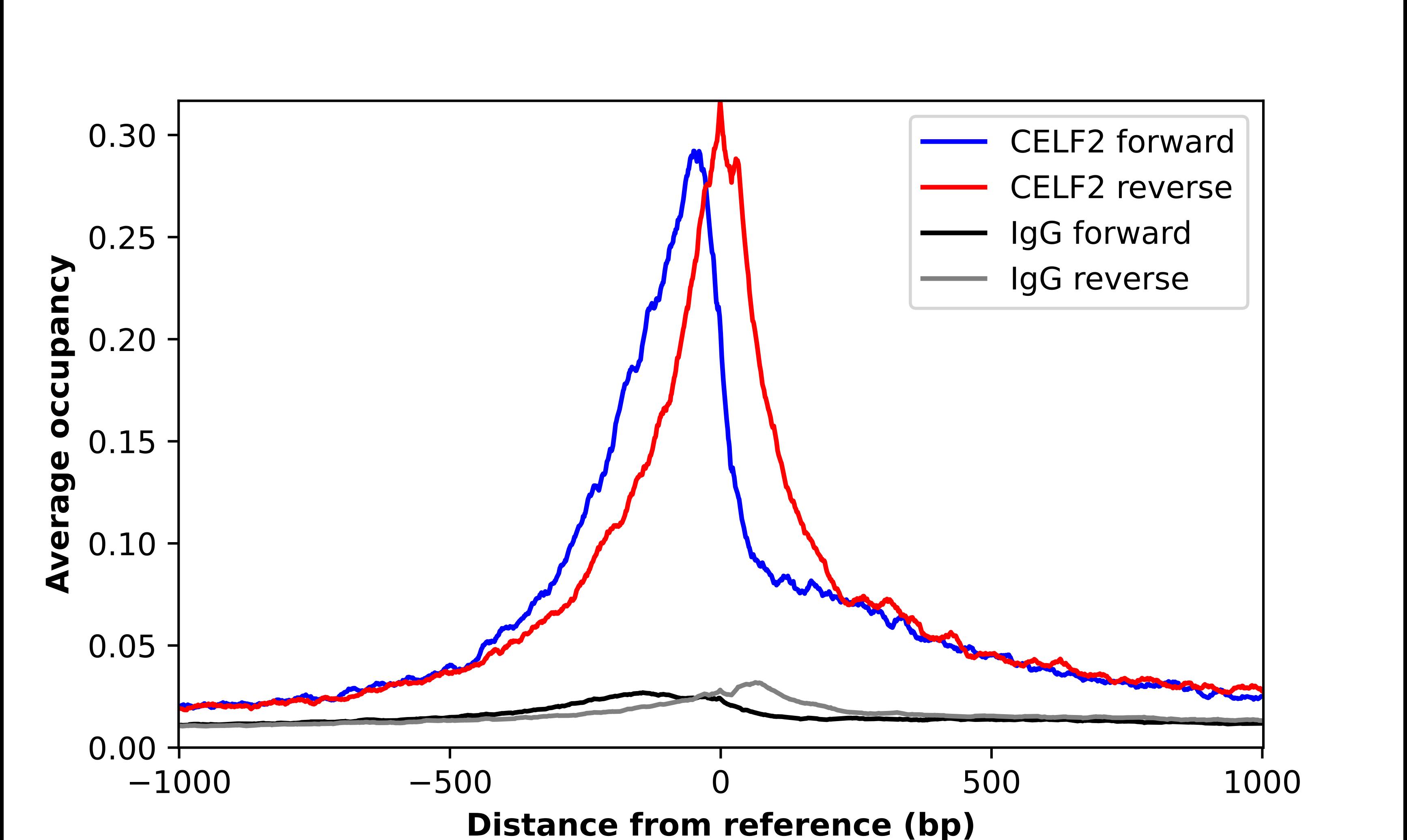 CUGBP2 Antibody - BSA Free Chromatin Immunoprecipitation-exo-Seq: CUGBP2 Antibody - BSA Free [NBP2-48646]