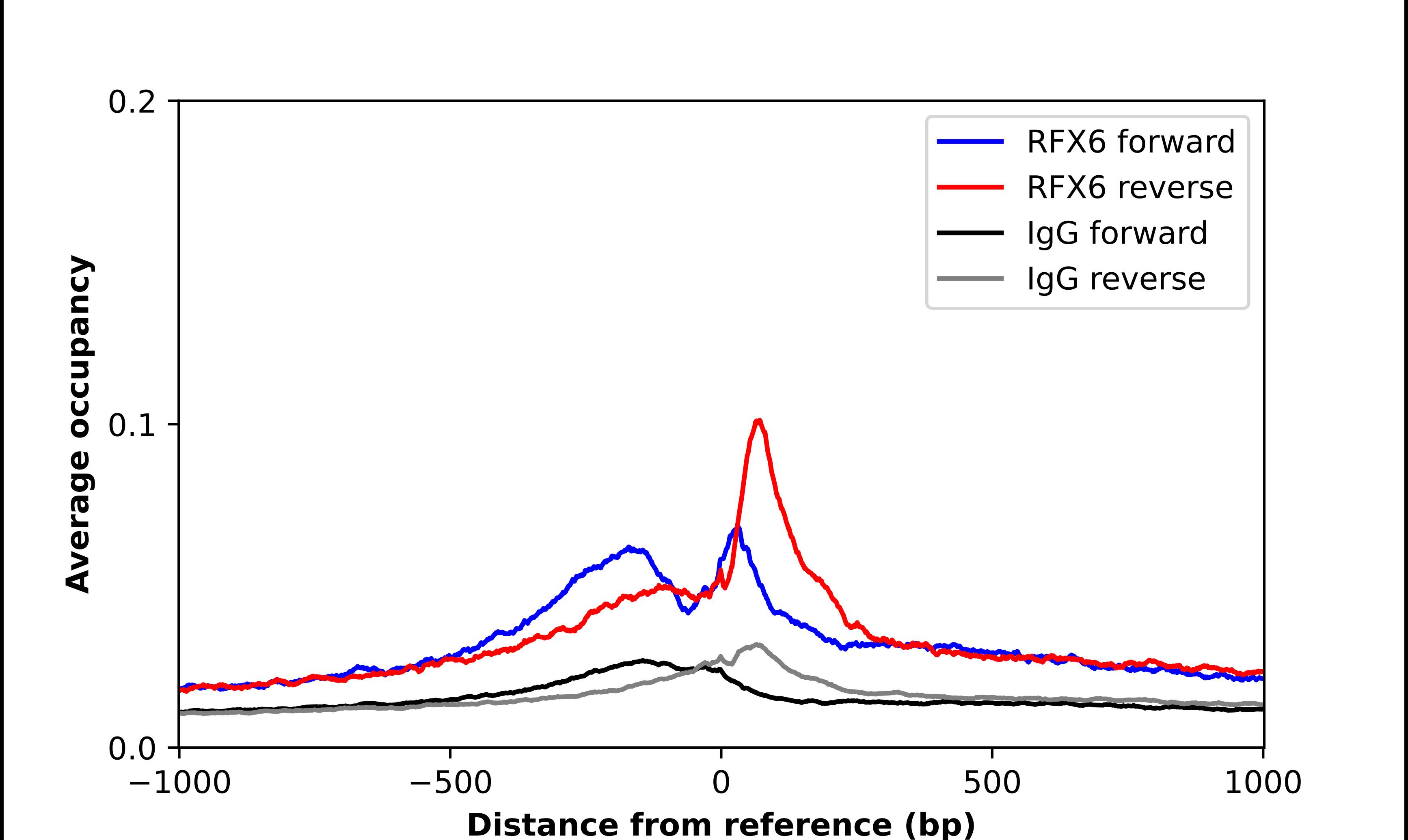 RFX6 Antibody - BSA Free Chromatin Immunoprecipitation-exo-Seq: RFX6 Antibody - BSA Free [NBP2-48677]