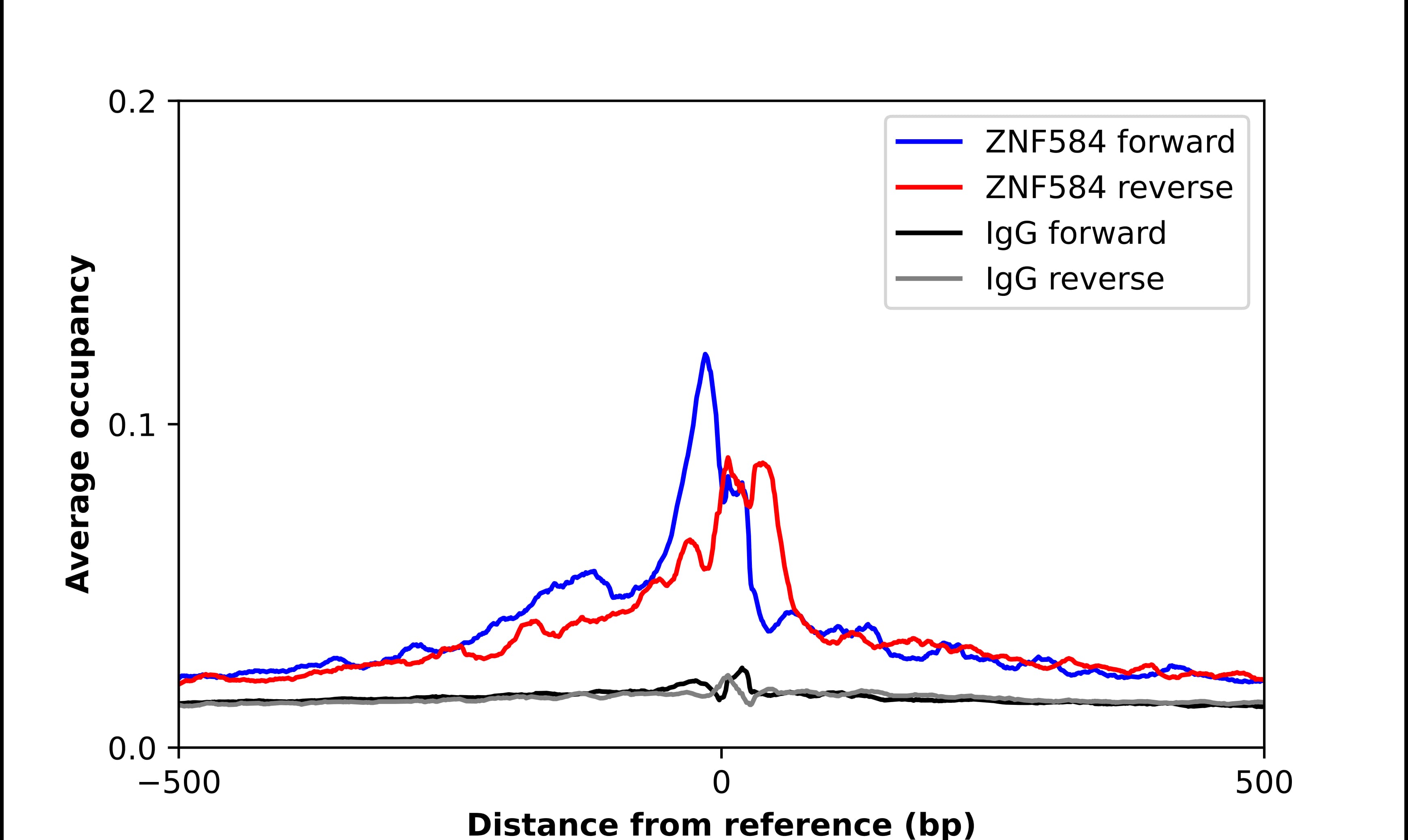 ZNF584 Antibody - BSA Free Chromatin Immunoprecipitation-exo-Seq: ZNF584 Antibody - BSA Free [NBP2-48887]