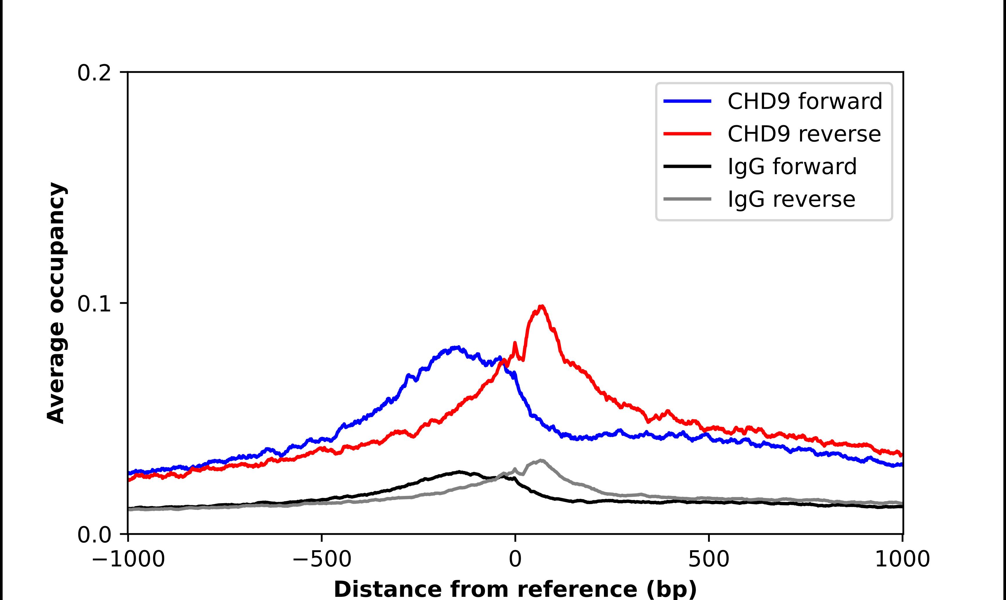 CHD9 Antibody - BSA Free Chromatin Immunoprecipitation-exo-Seq: CHD9 Antibody - BSA Free [NBP2-48933]