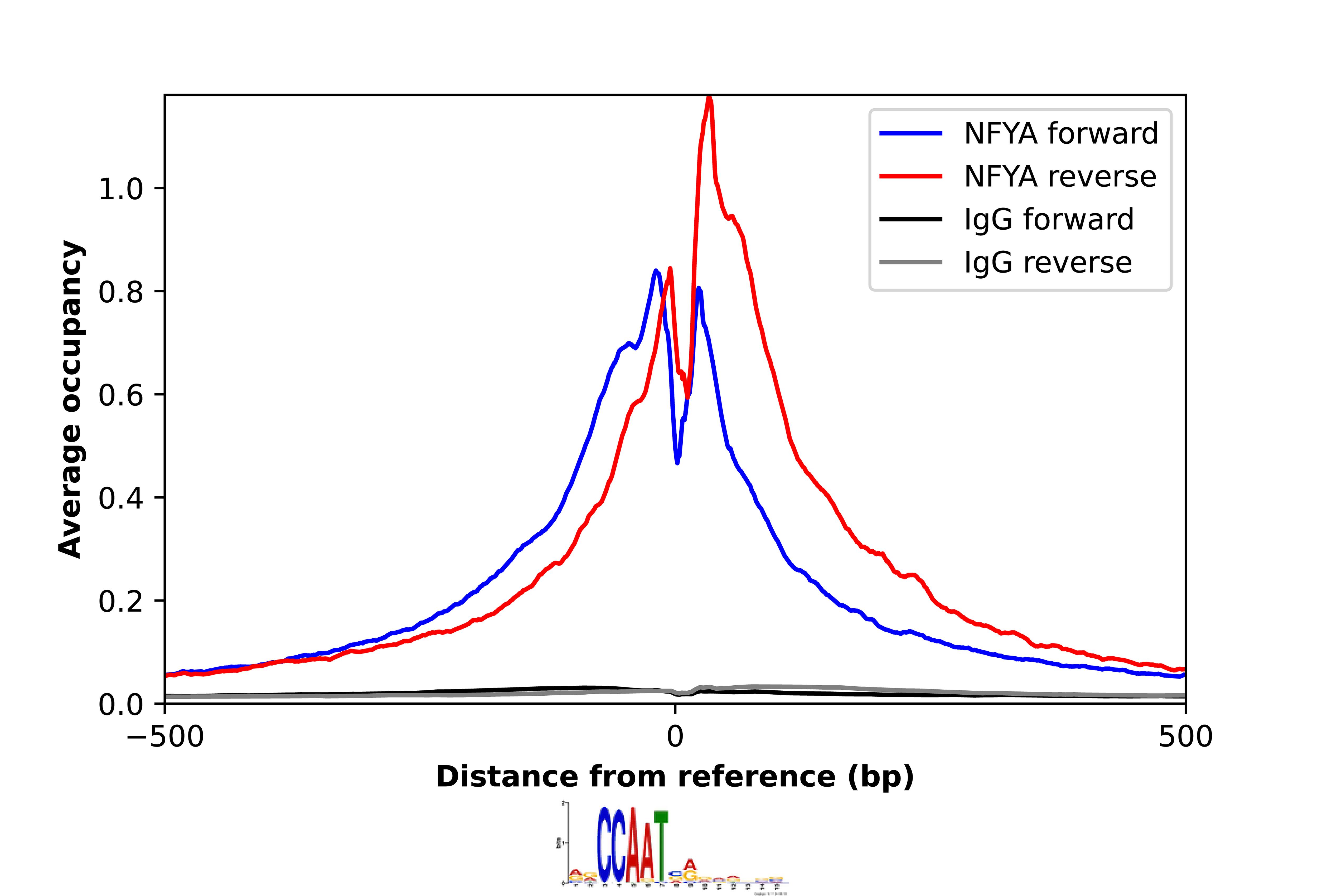 NFYA Antibody - BSA Free Chromatin Immunoprecipitation-exo-Seq: NFYA Antibody - BSA Free [NBP2-48977]