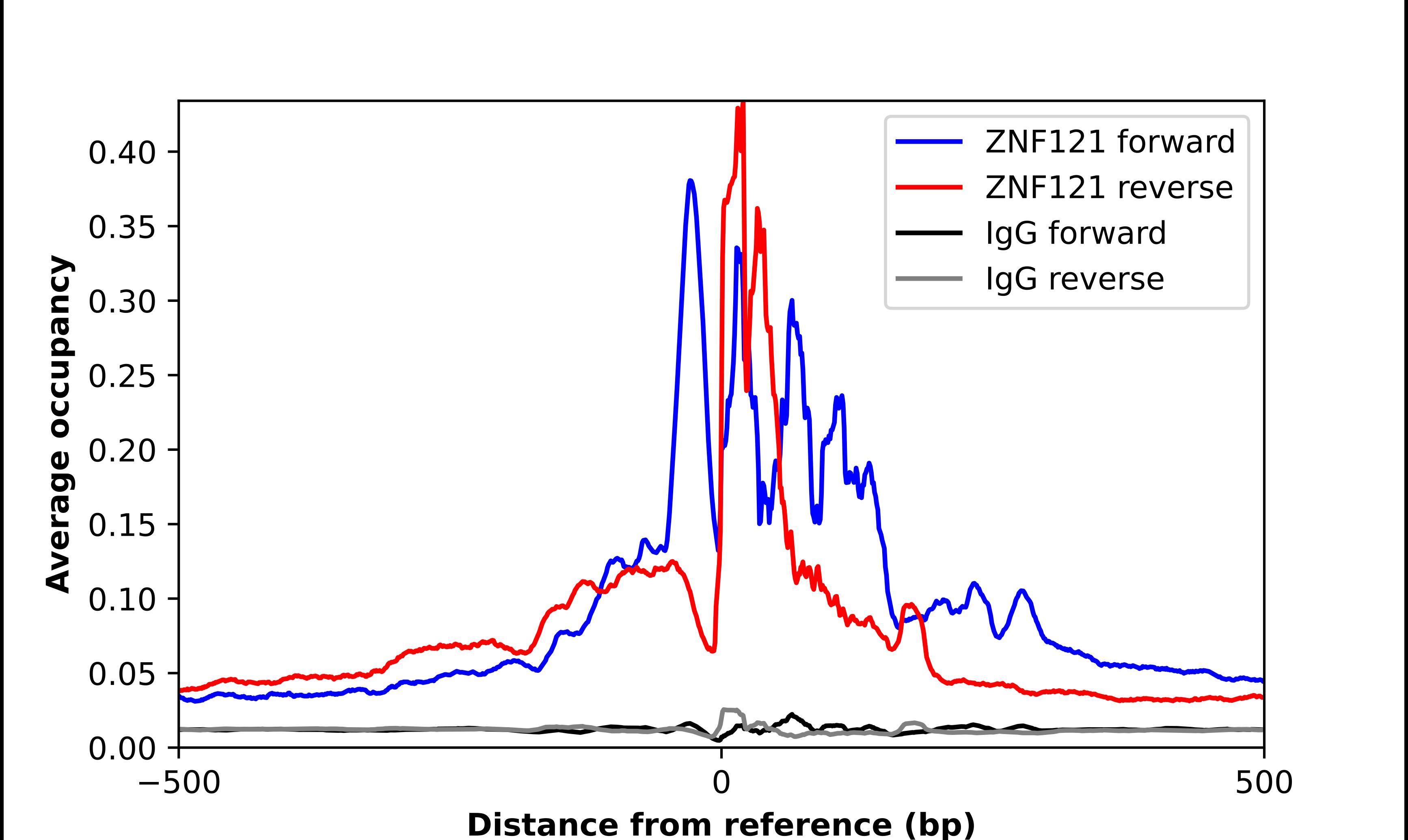 ZNF121 Antibody - BSA Free Chromatin Immunoprecipitation-exo-Seq: ZNF121 Antibody - BSA Free [NBP2-49161]