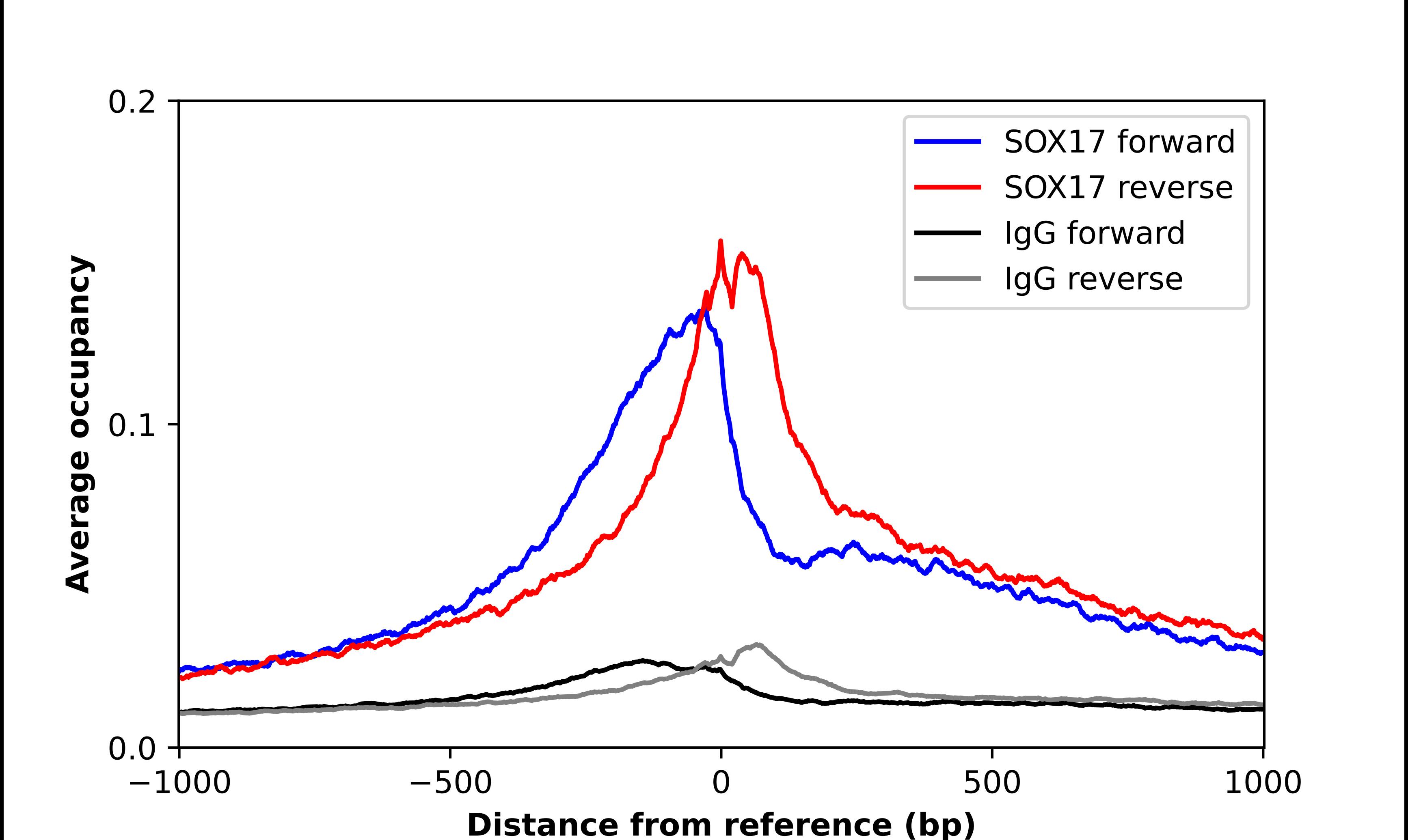 SOX17 Antibody - BSA Free Chromatin Immunoprecipitation-exo-Seq: SOX17 Antibody - BSA Free [NBP2-49549]