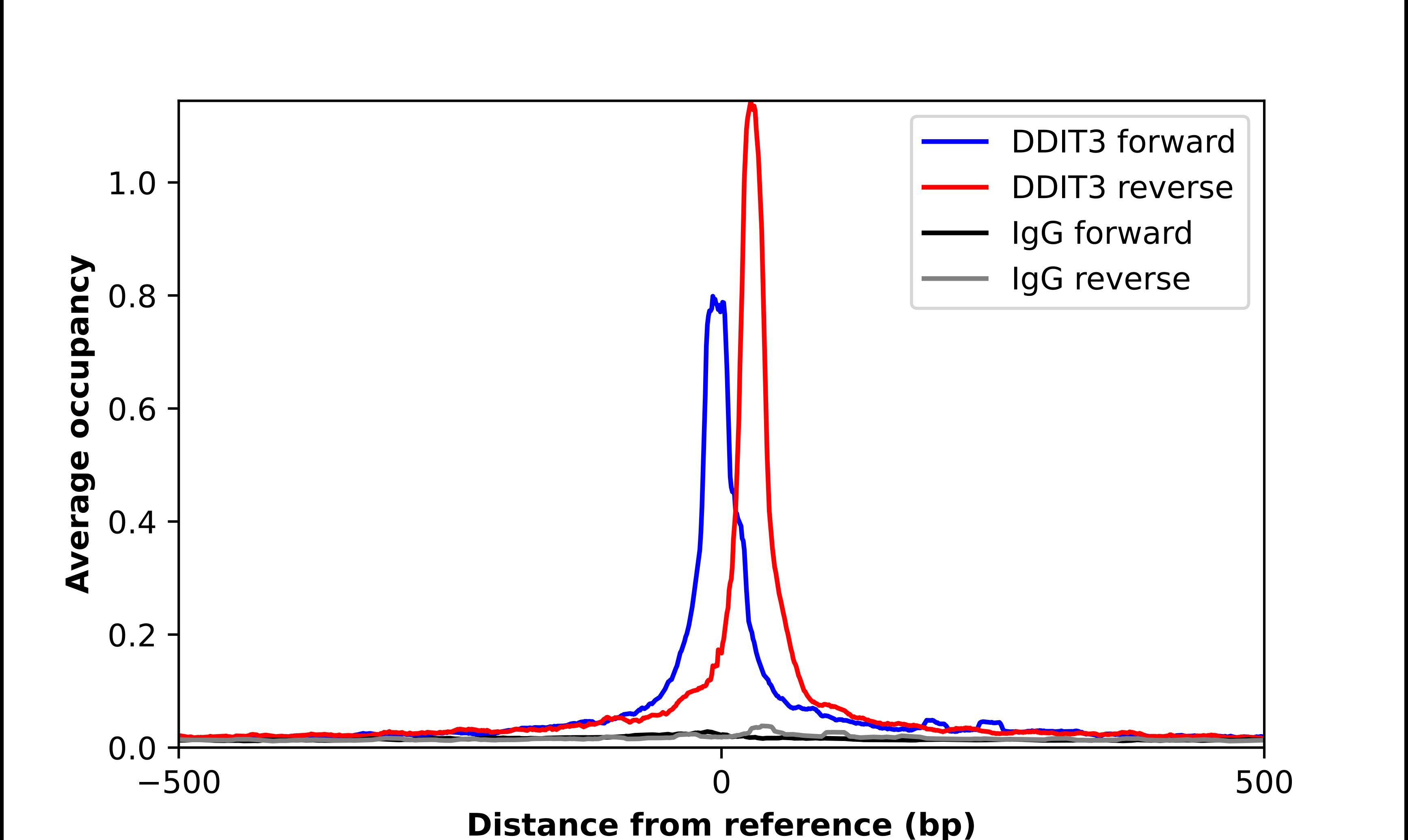 GADD153/CHOP Antibody - BSA Free Chromatin Immunoprecipitation-exo-Seq: GADD153/CHOP Antibody - BSA Free [NBP2-49550]