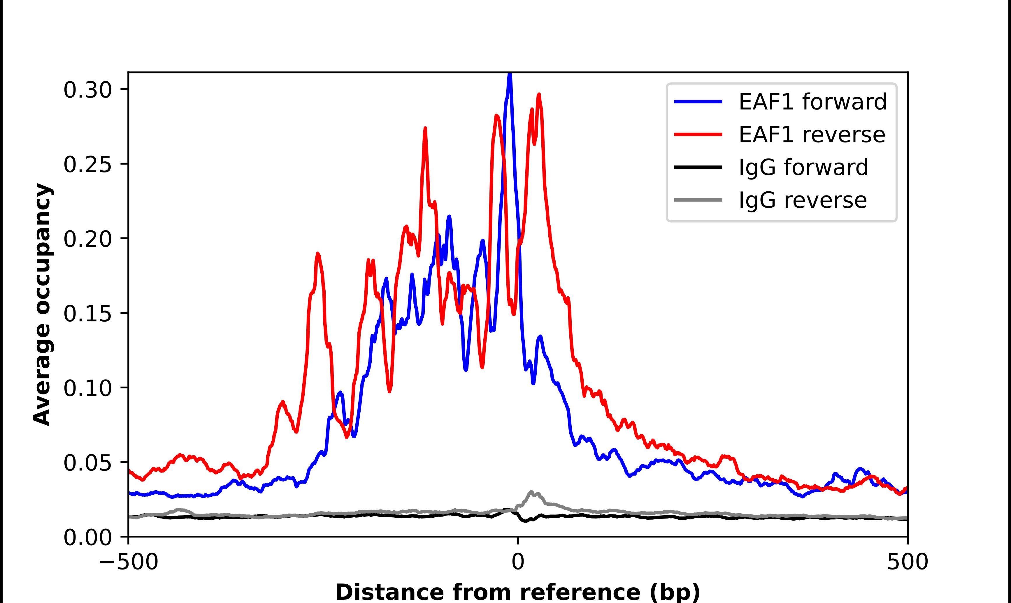 EAF1 Antibody - BSA Free Chromatin Immunoprecipitation ChIP: EAF1 Antibody - BSA Free