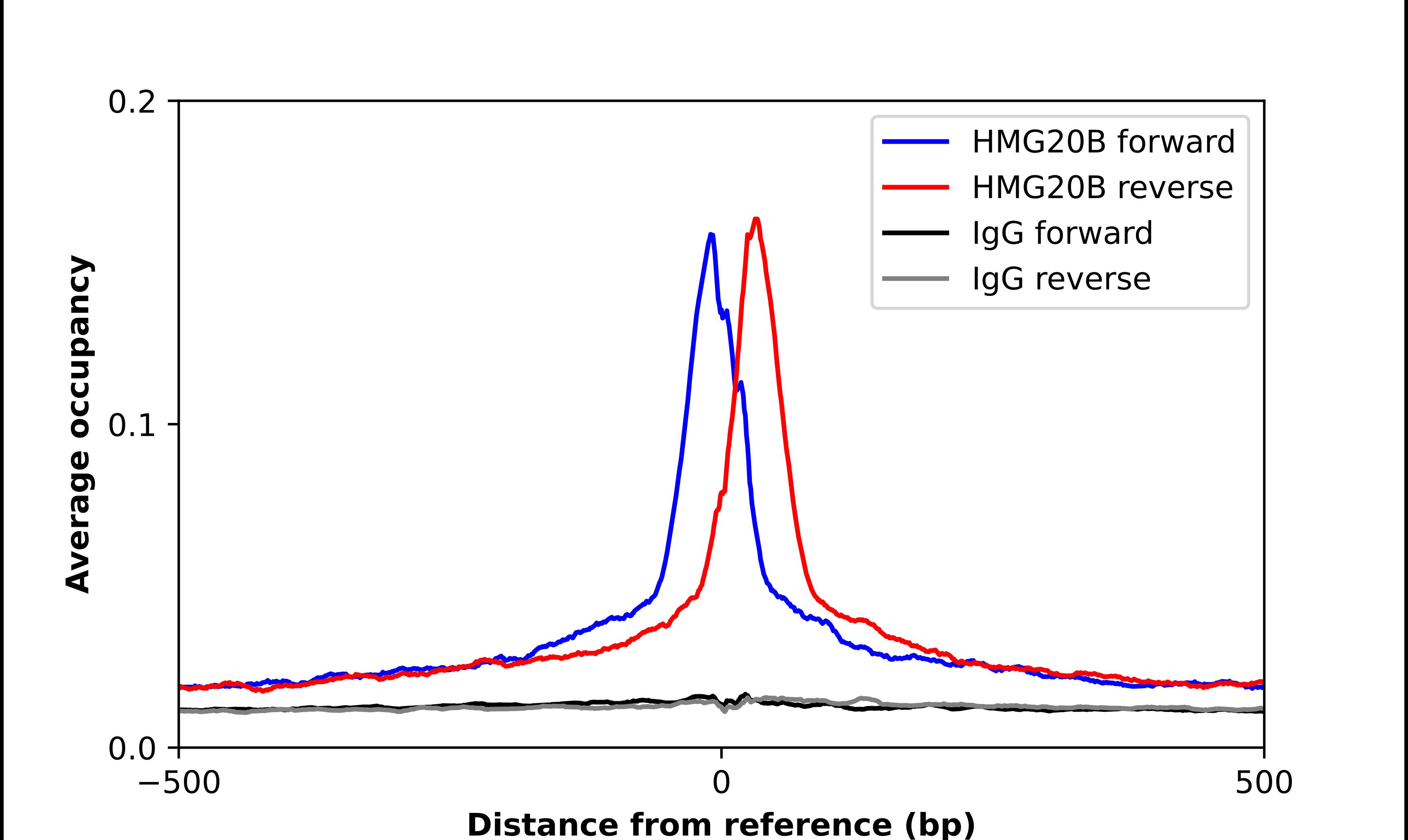 BRAF35 Antibody - BSA Free Chromatin Immunoprecipitation-exo-Seq: BRAF35 Antibody - BSA Free [NBP2-49621]