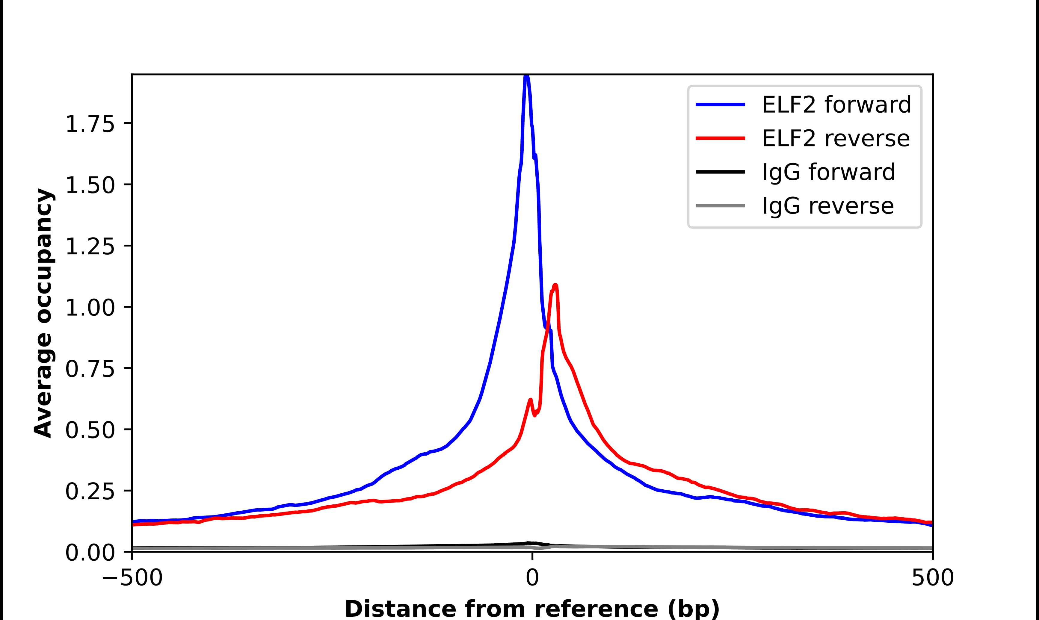 ELF2 Antibody - BSA Free Chromatin Immunoprecipitation ChIP: ELF2 Antibody - BSA Free