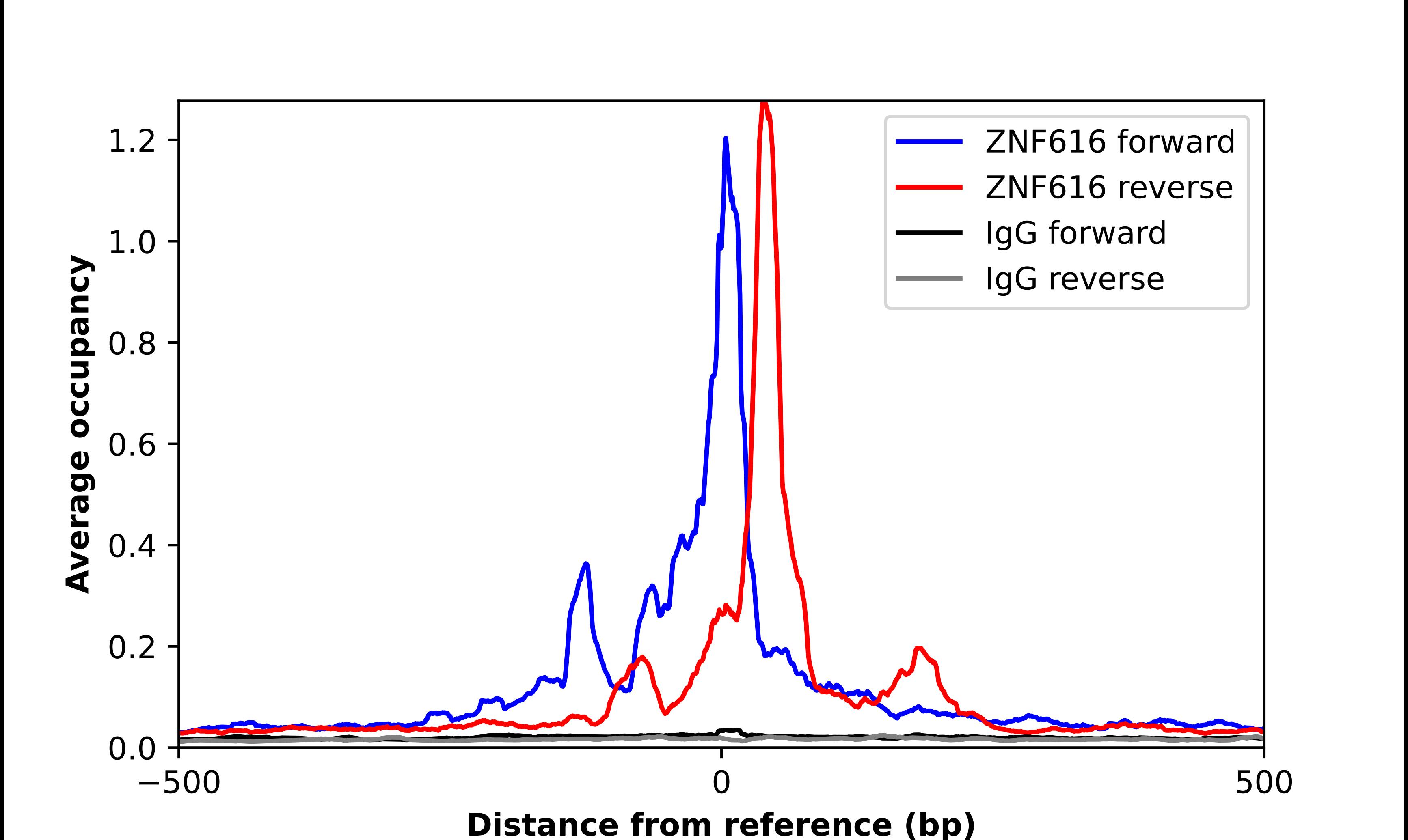 ZNF616 Antibody - BSA Free Chromatin Immunoprecipitation ChIP: ZNF616 Antibody - BSA Free