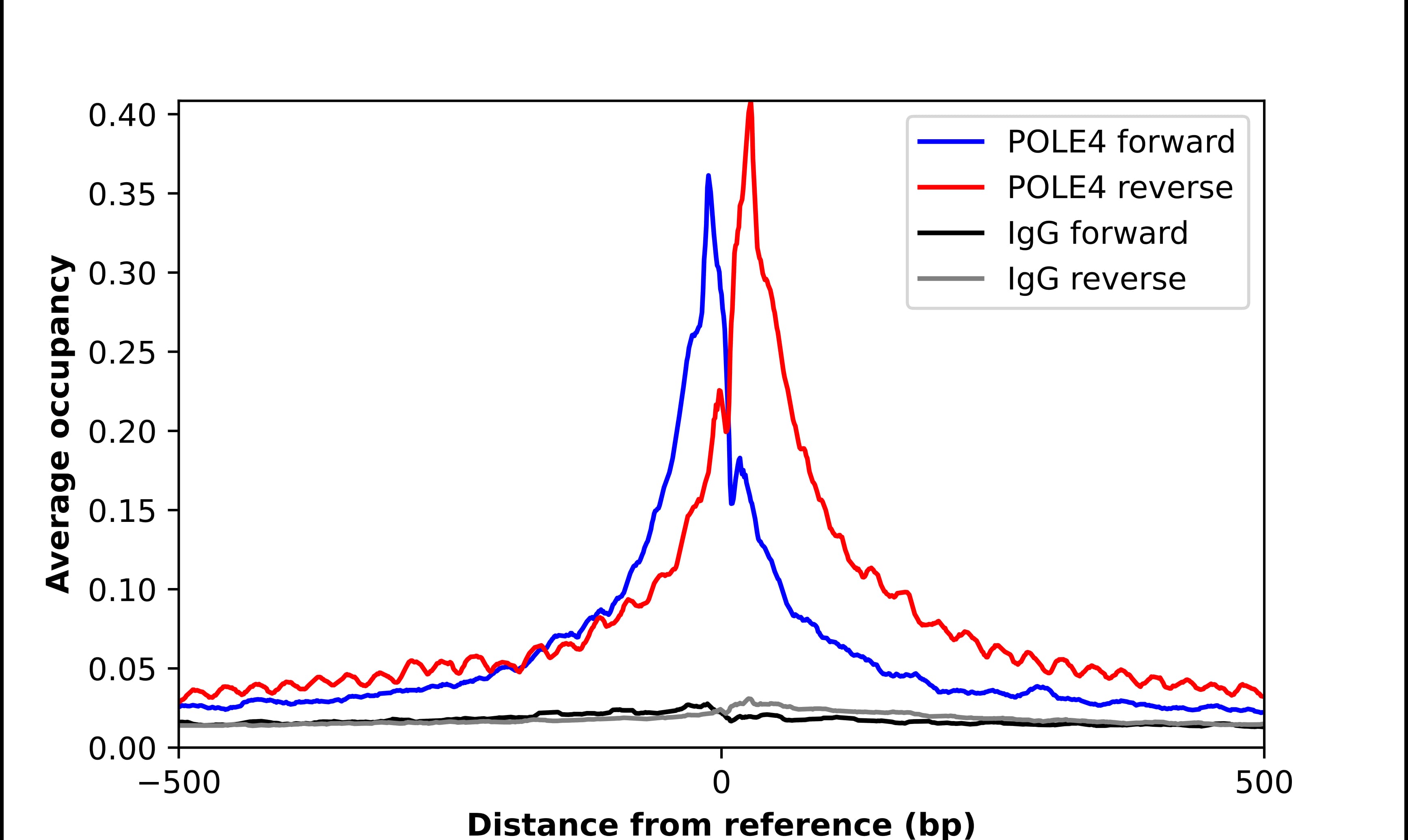 POLE4 Antibody - BSA Free Chromatin Immunoprecipitation ChIP: POLE4 Antibody - BSA Free