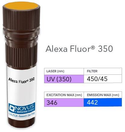 Cisplatin Modified DNA Antibody (CP9/19) [Alexa Fluor® 350]