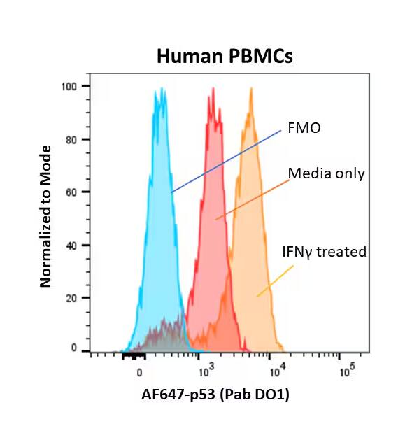 p53 Antibody (Pab DO-1) [Alexa Fluor® 647]