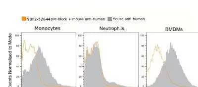 CD16/CD32 Antibody (2.4G2) - Chimeric - Azide and BSA Free