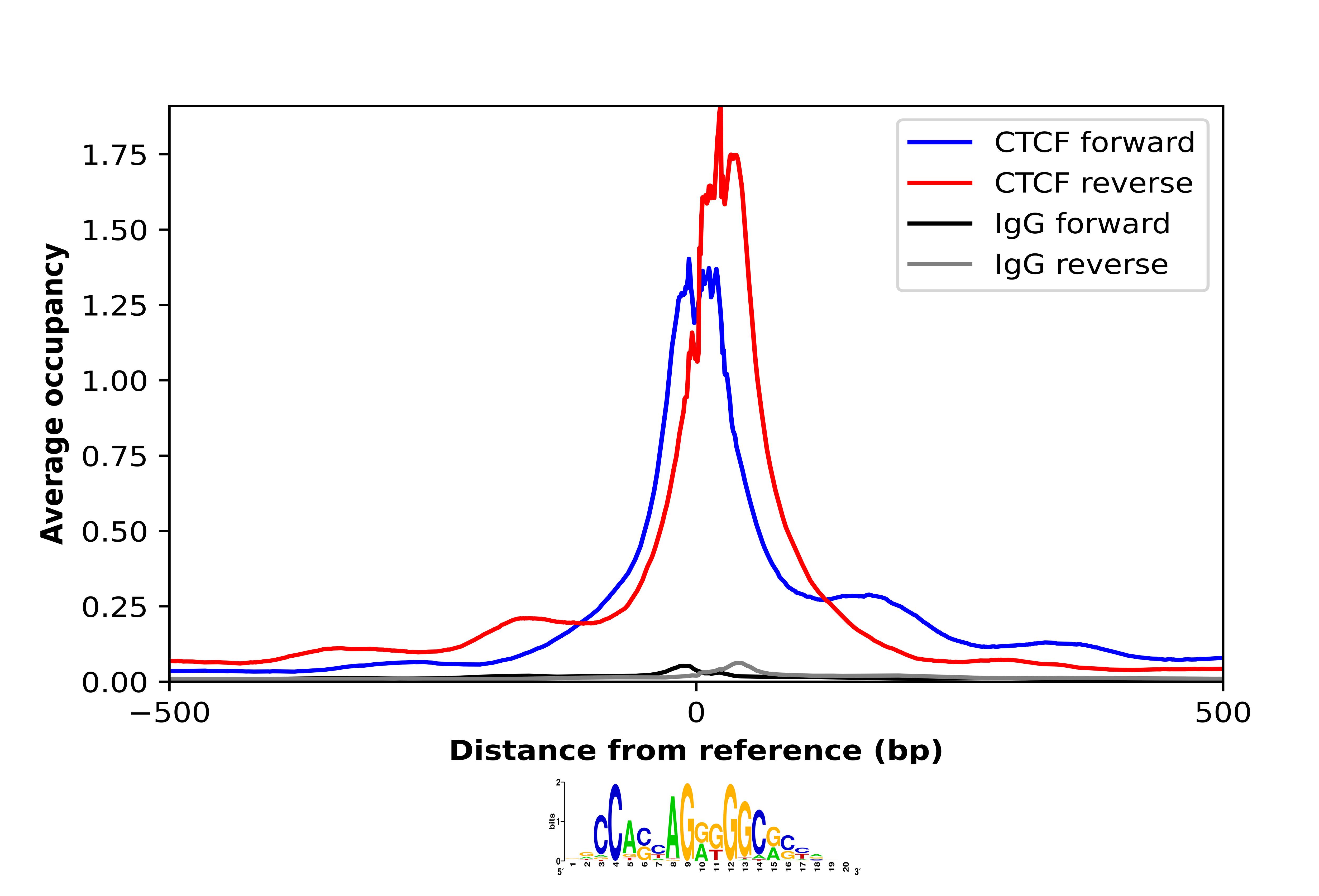 CTCF Antibody (CL0307) - BSA Free Chromatin Immunoprecipitation-exo-Seq: CTCF Antibody (CL0307) - BSA Free [NBP2-52911]