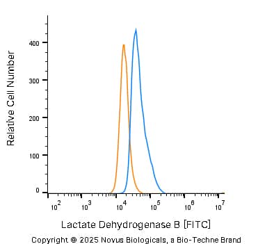Lactate Dehydrogenase B Antibody [FITC]