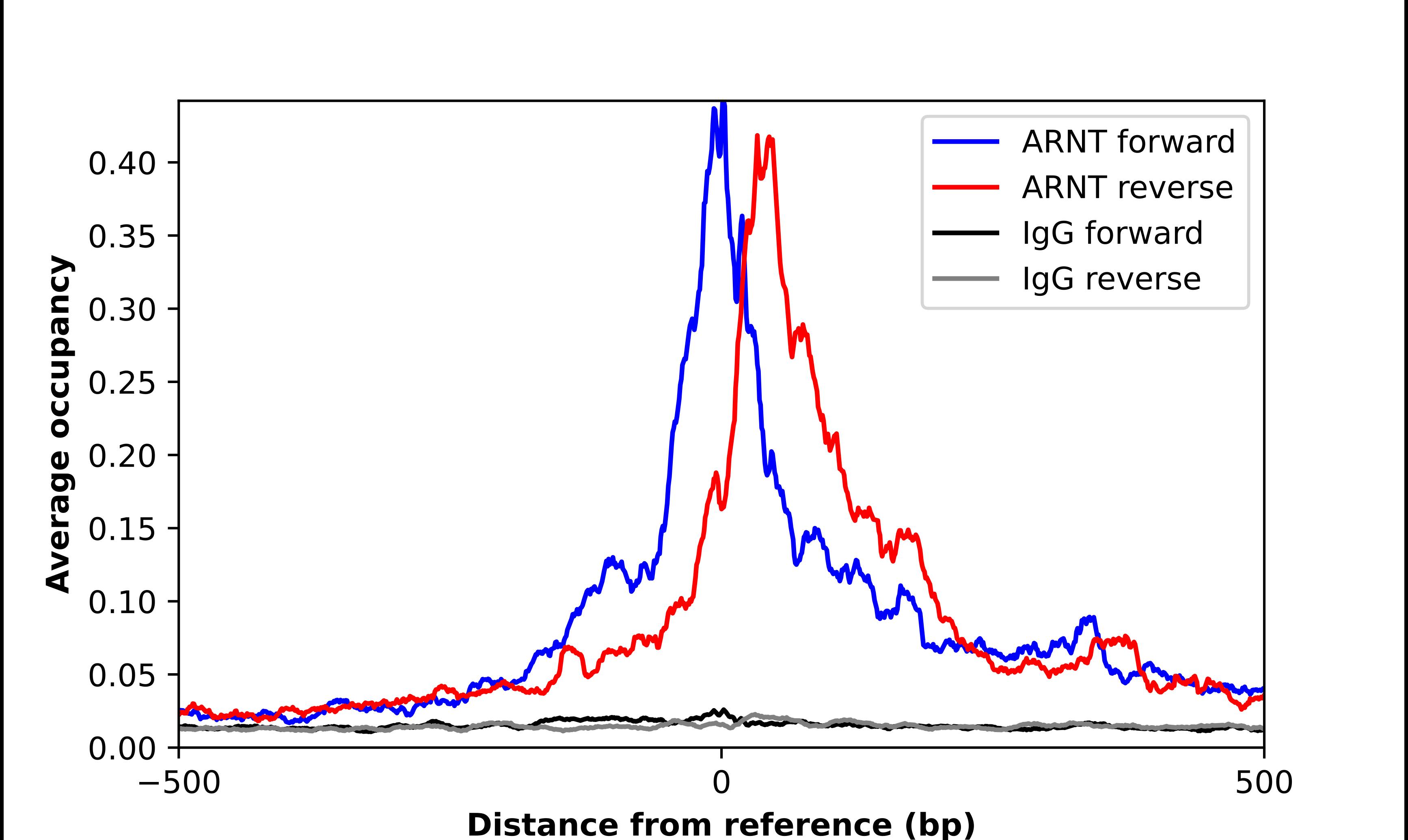 ARNT/HIF-1 beta Antibody - BSA Free Chromatin Immunoprecipitation-exo-Seq: ARNT/HIF-1 beta Antibody - BSA Free [NBP2-54663]