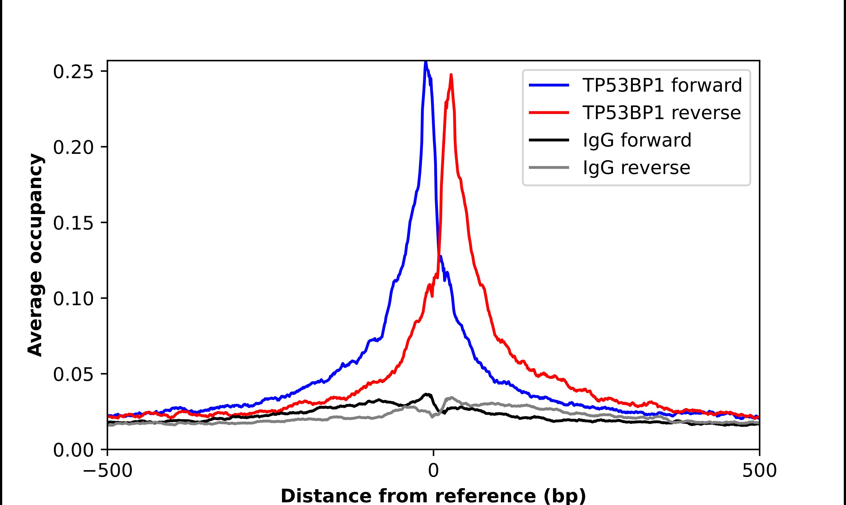 53BP1 Antibody - BSA Free Chromatin Immunoprecipitation ChIP: 53BP1 Antibody - BSA Free