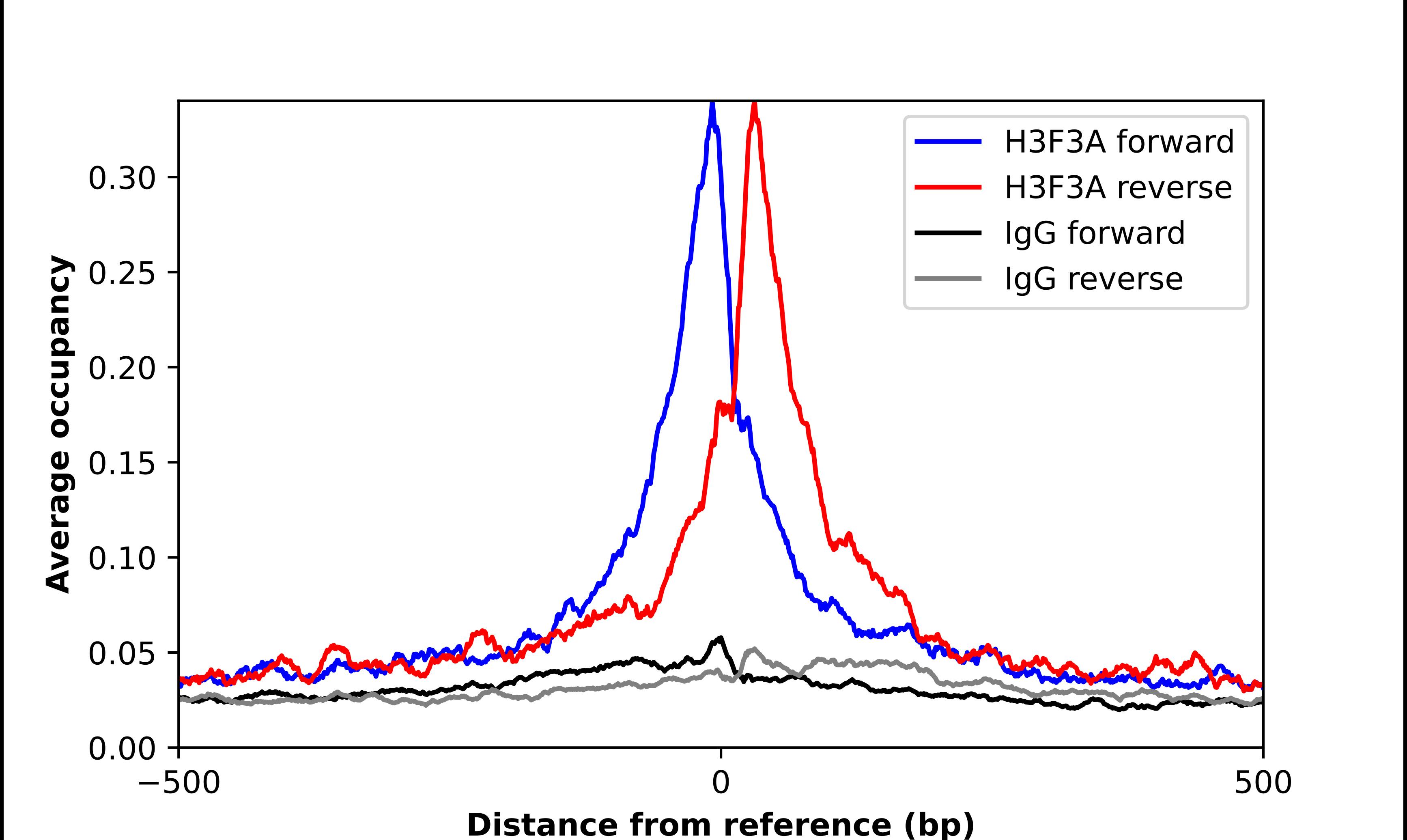 Histone H3 Antibody - BSA Free Chromatin Immunoprecipitation-exo-Seq: Histone H3 Antibody - BSA Free [NBP2-54701]