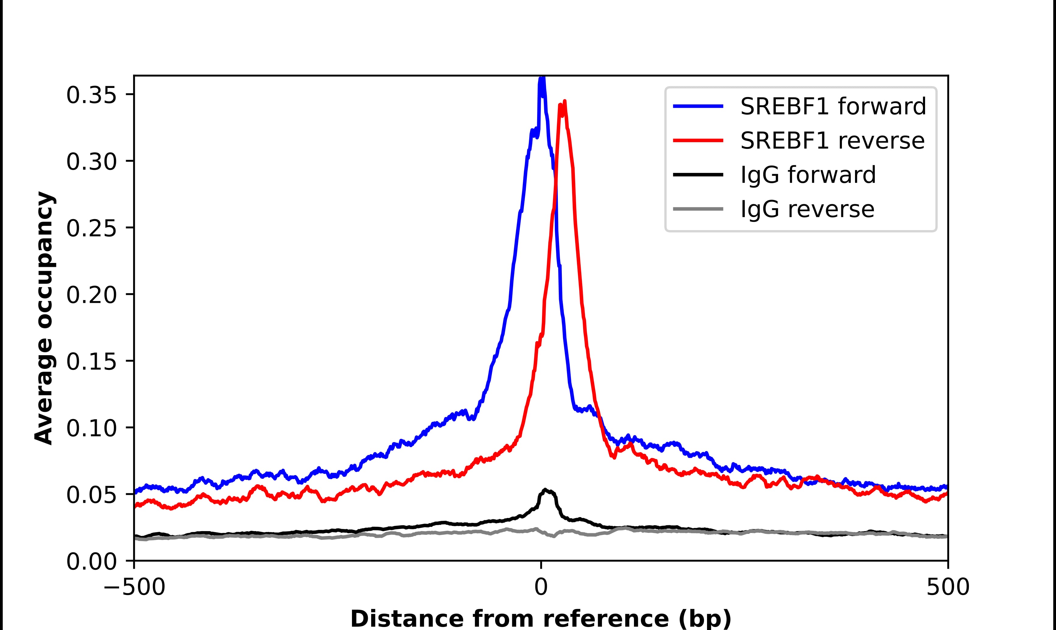 SREBP1 Antibody - BSA Free Chromatin Immunoprecipitation-exo-Seq: SREBP1 Antibody - BSA Free [NBP2-54707]