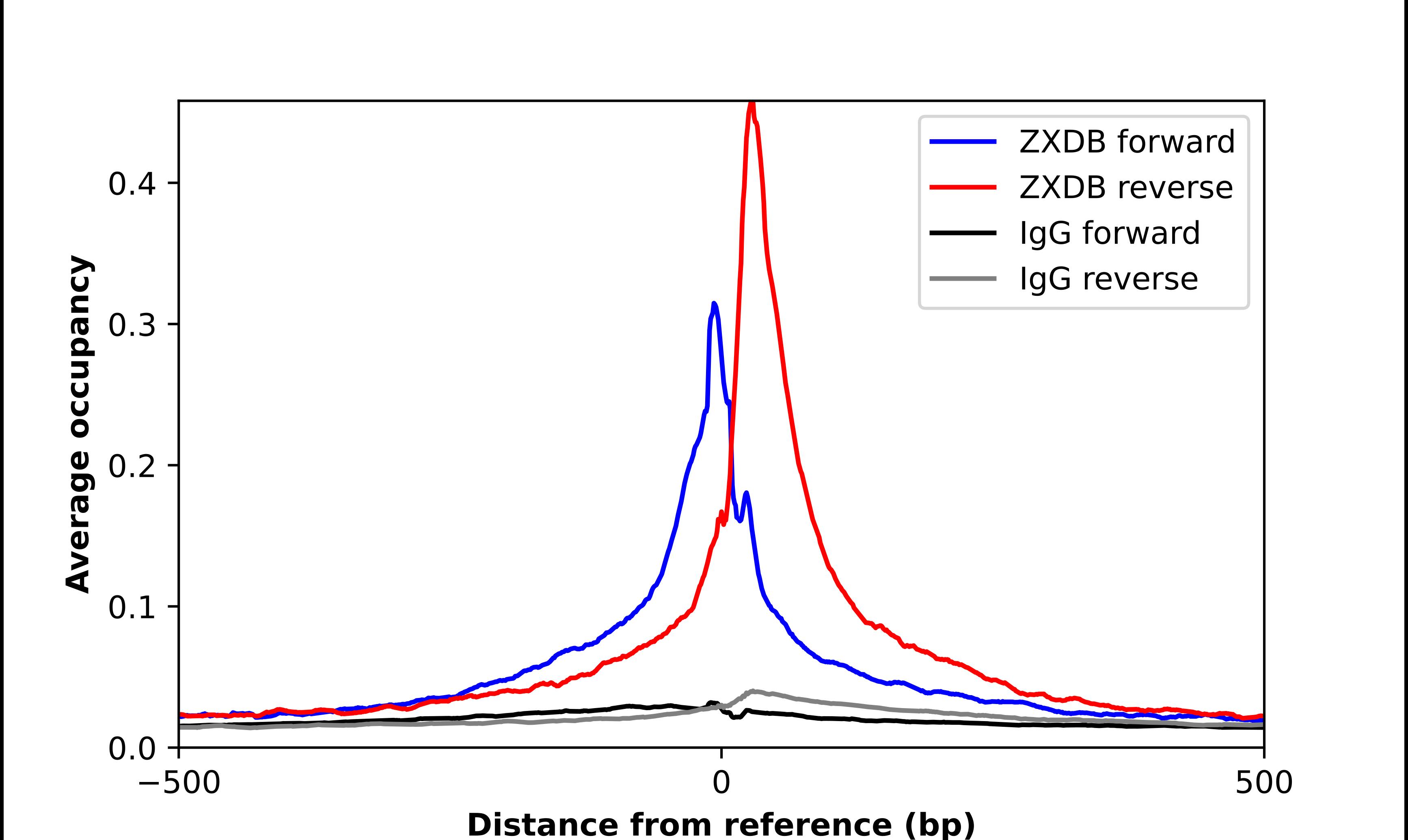 ZXDB Antibody - BSA Free Chromatin Immunoprecipitation ChIP: ZXDB Antibody - BSA Free