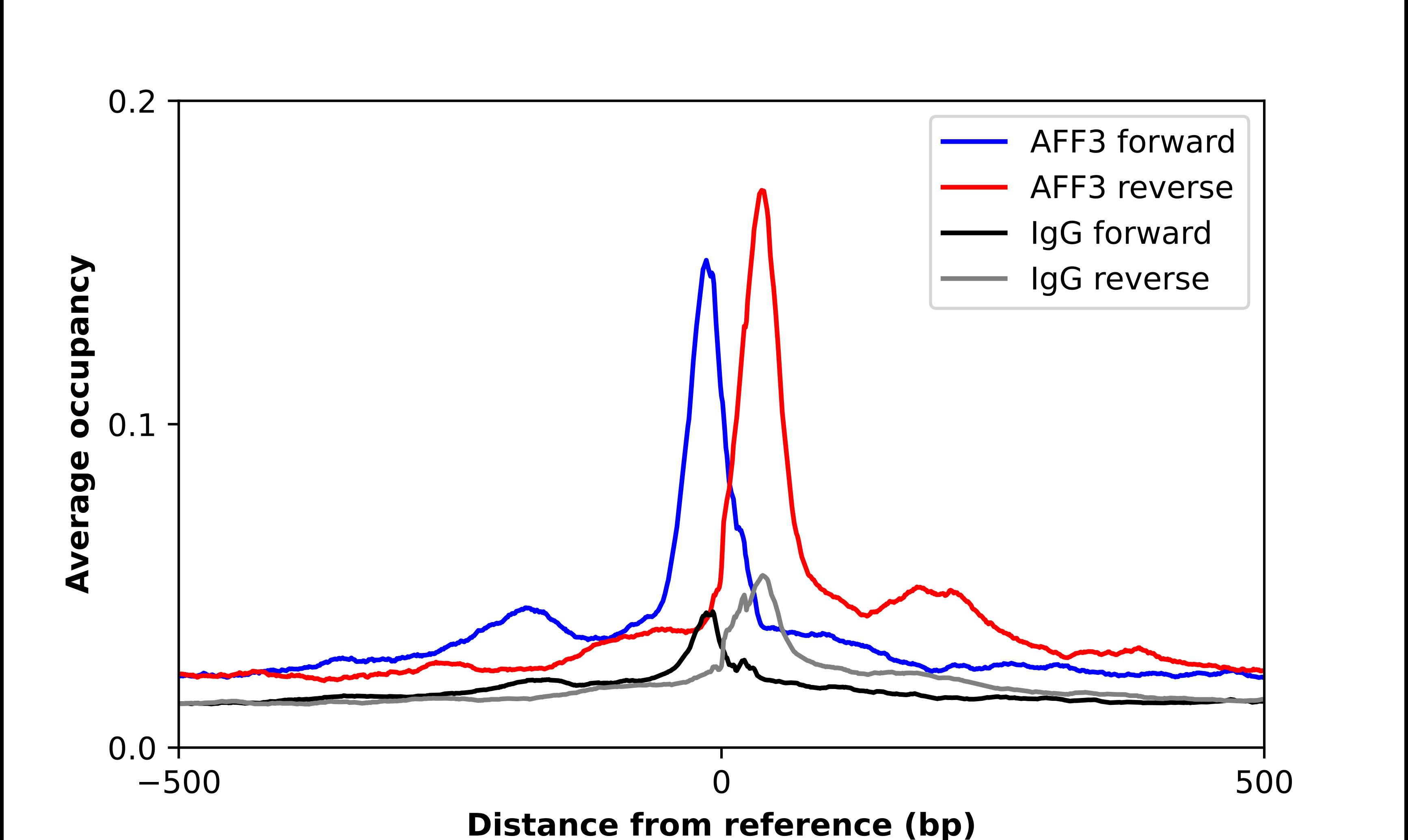 LAF4 Antibody - BSA Free Chromatin Immunoprecipitation ChIP: LAF4 Antibody - BSA Free