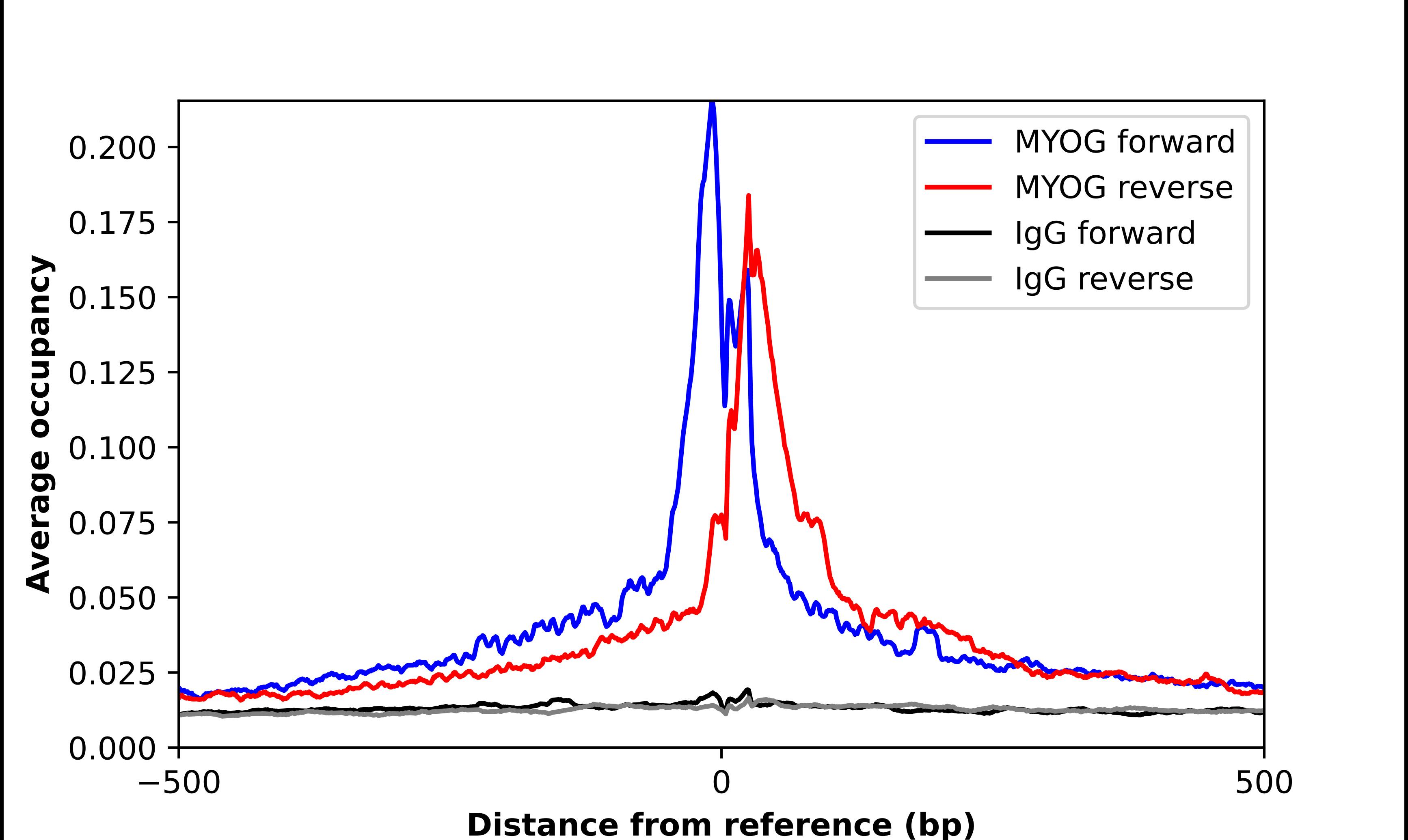 Myogenin Antibody - BSA Free Chromatin Immunoprecipitation-exo-Seq: Myogenin Antibody - BSA Free [NBP2-54972]