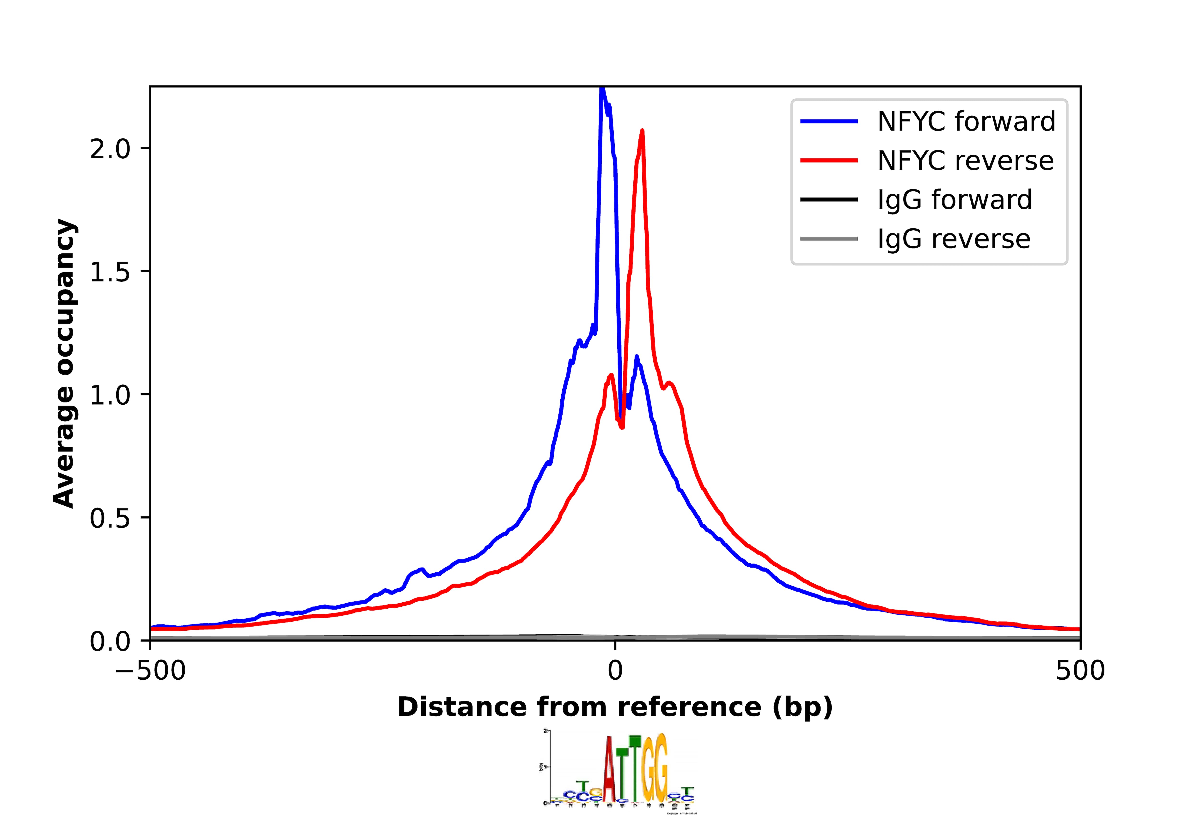 NFYC Antibody - BSA Free Chromatin Immunoprecipitation-exo-Seq: NFYC Antibody - BSA Free [NBP2-55002]
