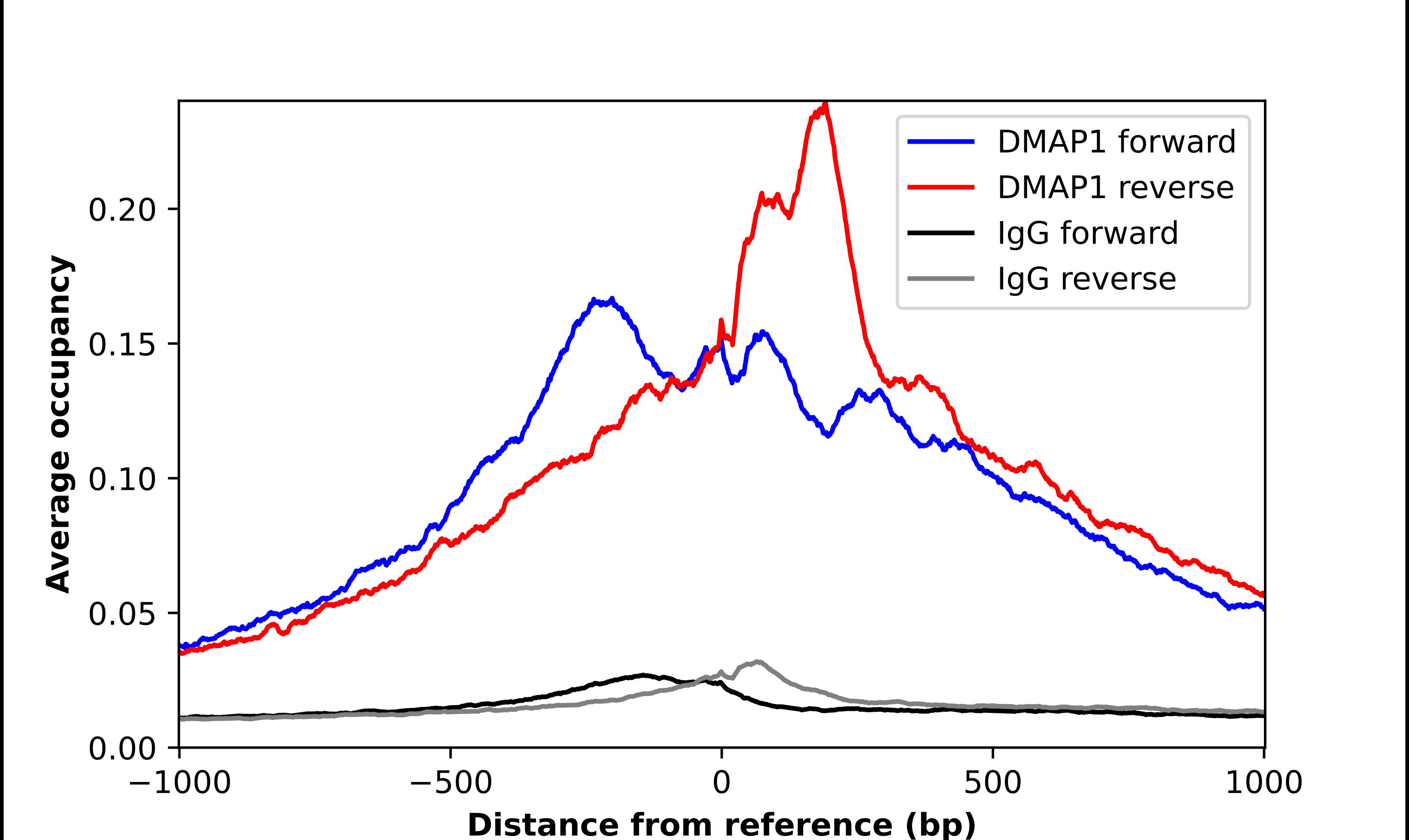 DMAP1 Antibody - BSA Free Chromatin Immunoprecipitation-exo-Seq: DMAP1 Antibody - BSA Free [NBP2-55093]