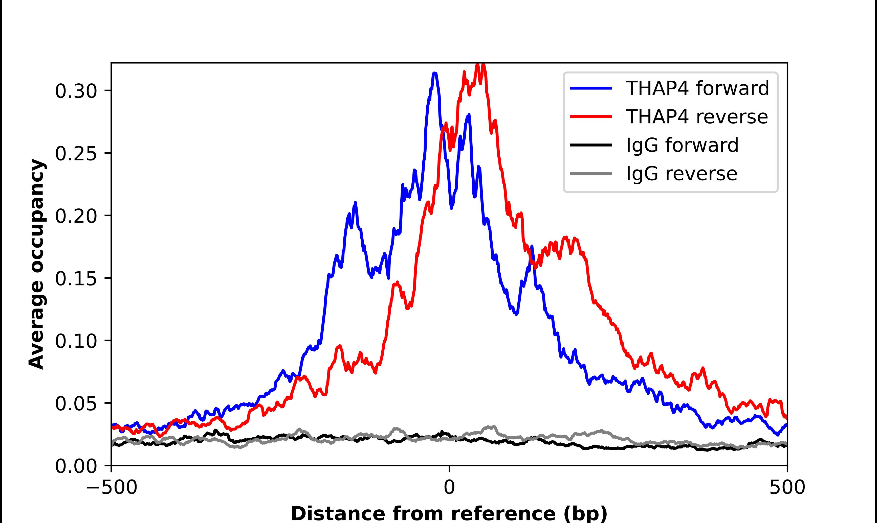 THAP4 Antibody - BSA Free Chromatin Immunoprecipitation-exo-Seq: THAP4 Antibody - BSA Free [NBP2-55100]