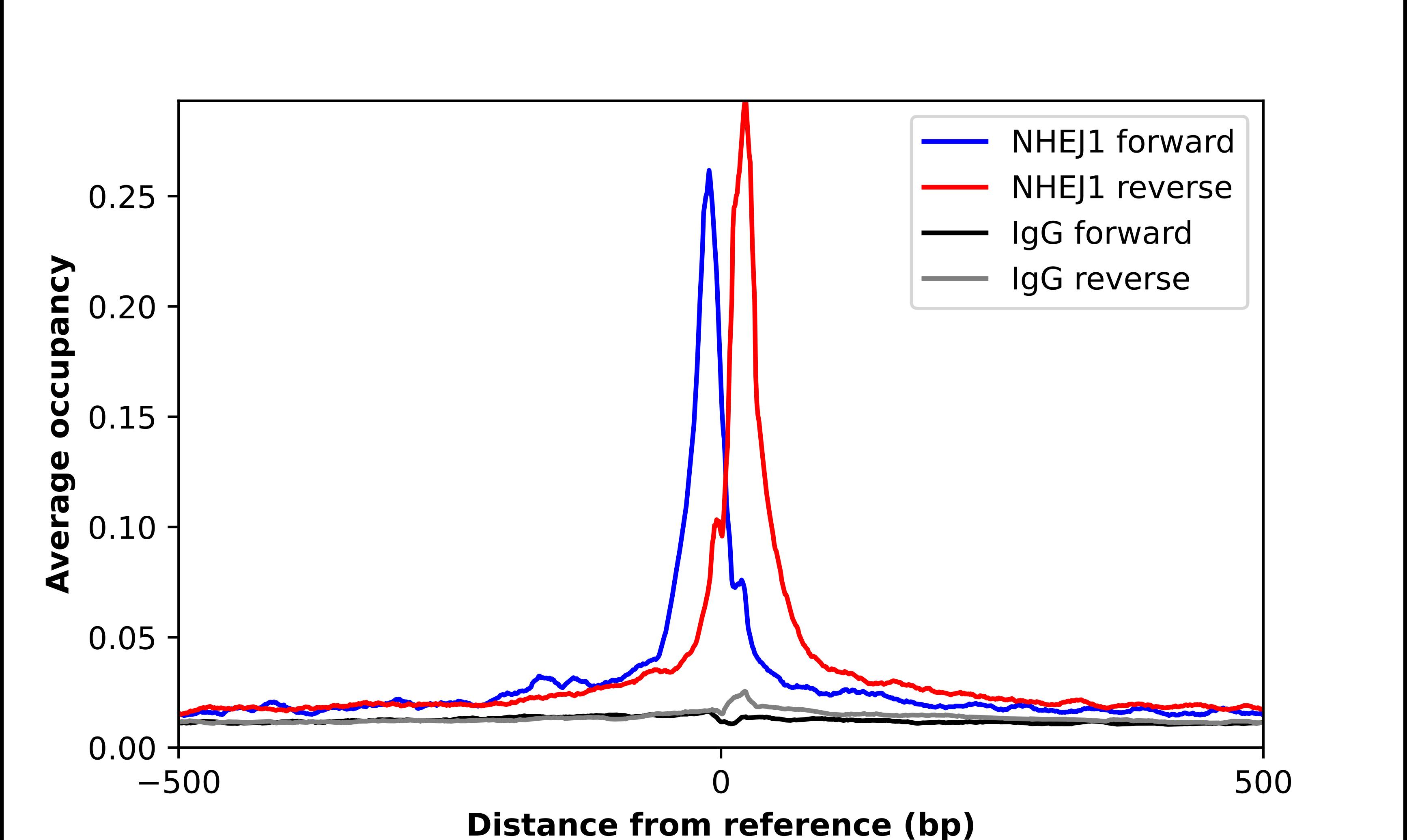 XLF Antibody - BSA Free Chromatin Immunoprecipitation ChIP: XLF Antibody - BSA Free